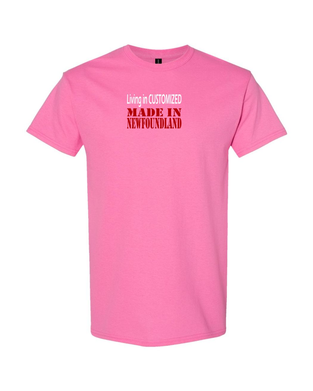 Living In custom, Made In NL Women's Tee