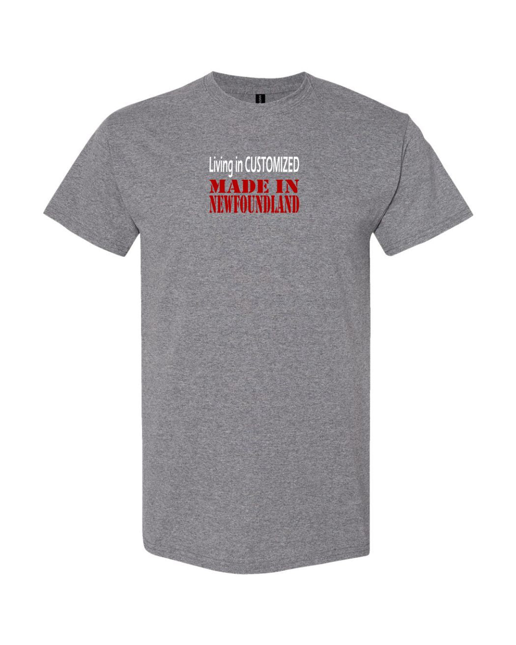 Living In custom, Made In NL Women's Tee