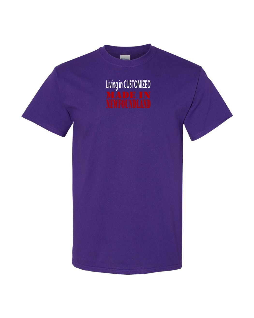 Living In custom, Made In NL Women's Tee