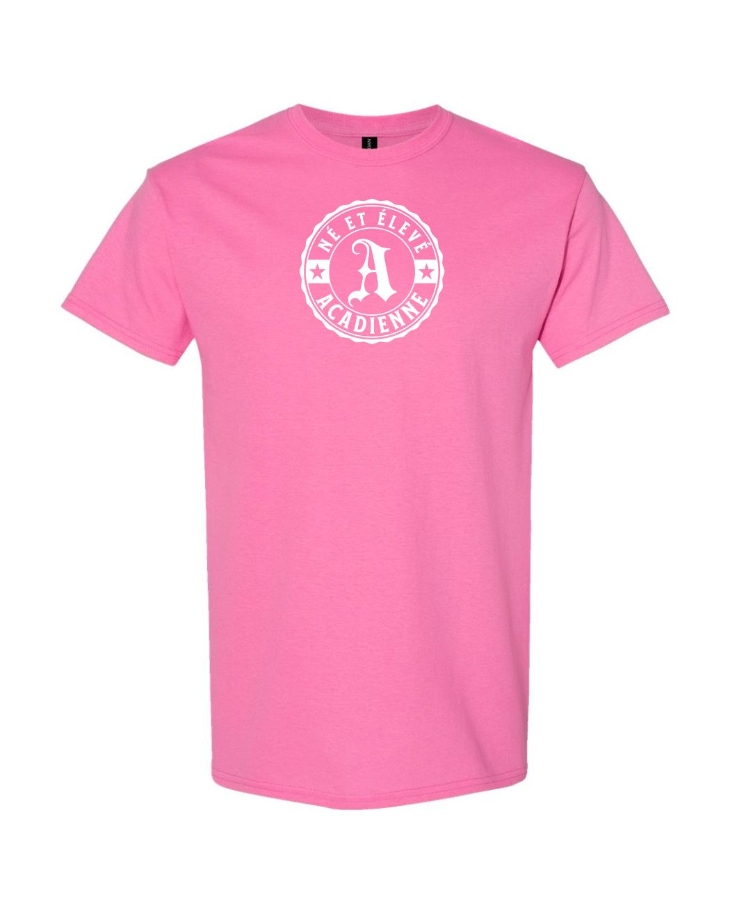 Ne Et Eleve Acadienne Full Front French Version Women's Tee