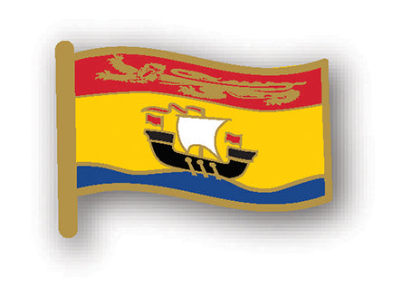 NB Flag Lapel Pin