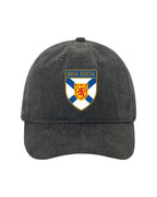 NS Shield Hat