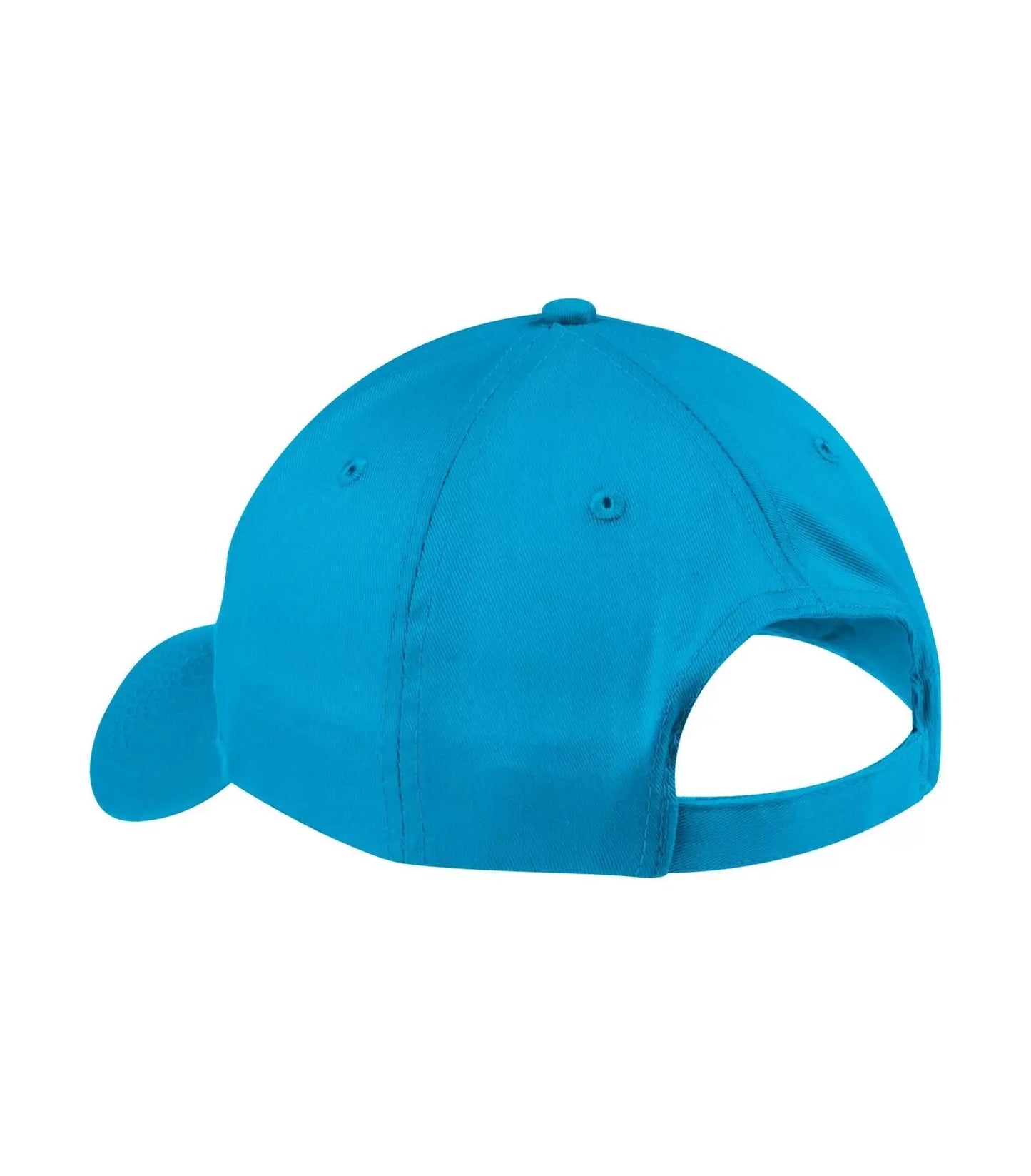 Swag Baseball Hat - Tropical Blue