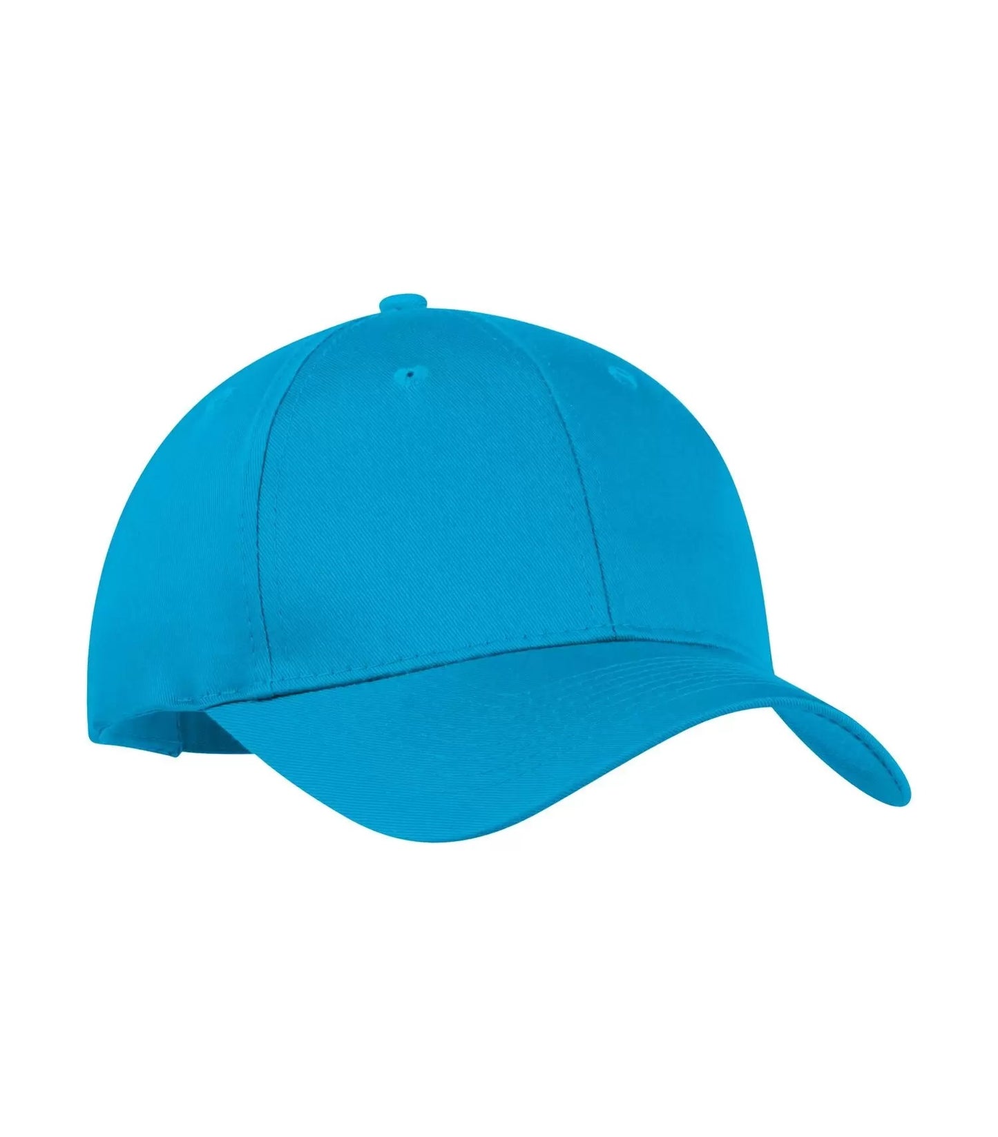 Swag Baseball Hat - Tropical Blue