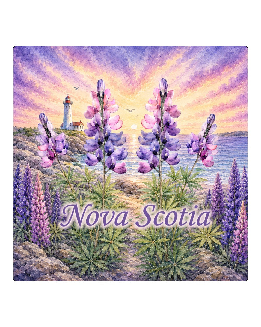 Ns Lupins Square Coaster