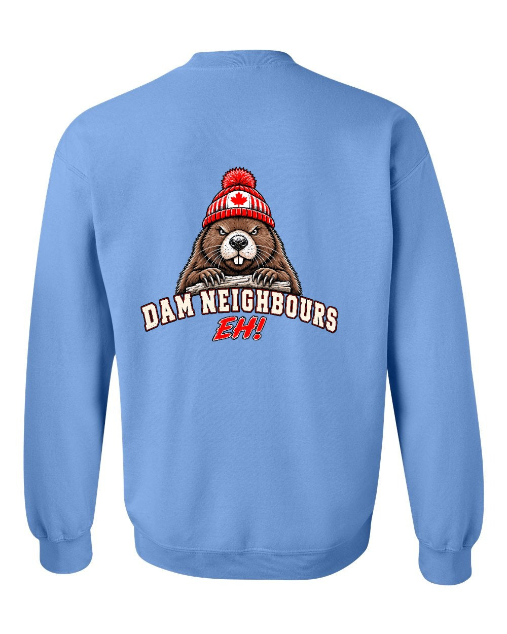 Dam Neighbours Left Chest and Back Crewneck Sweatshirt in Carolina Blue - back