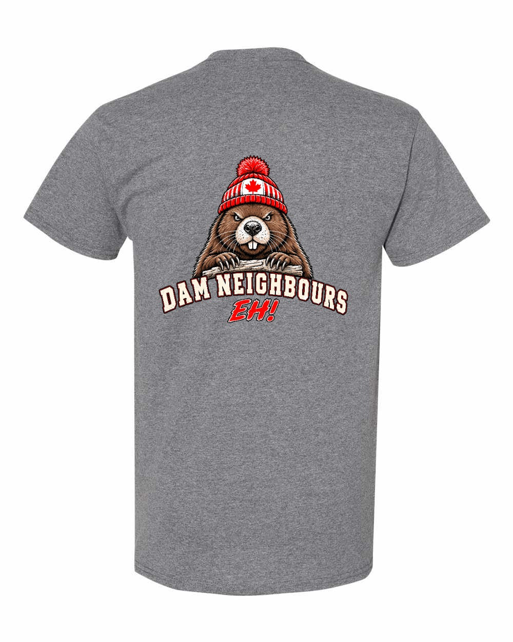 Dam Neighbours Left Chest and Back Men's Tee in Graphite Heather - back