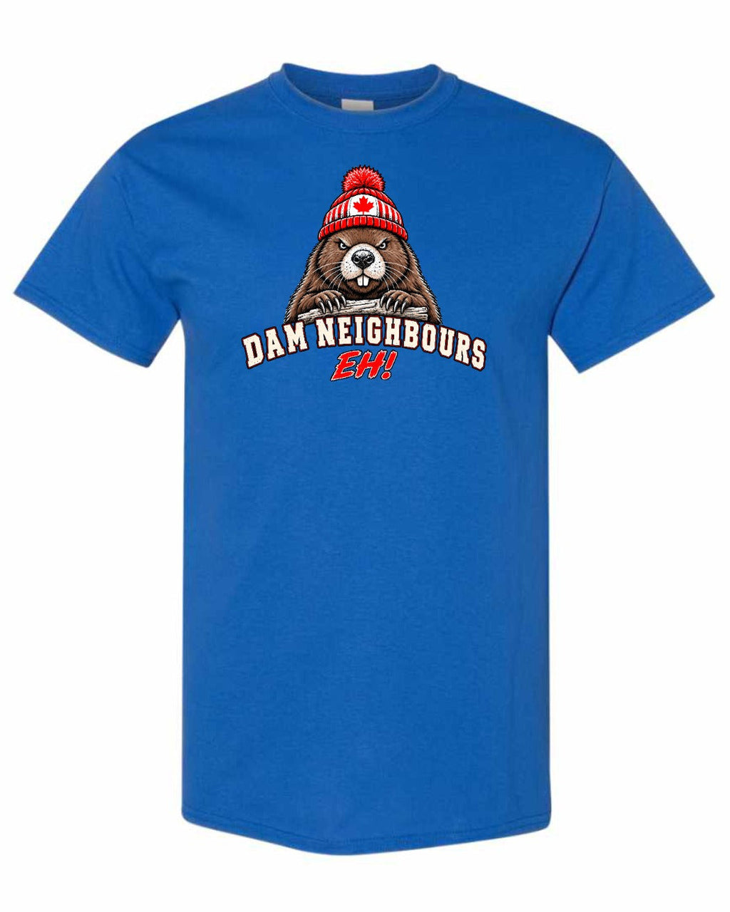 Dam Neighbours Full Front Men's Tee