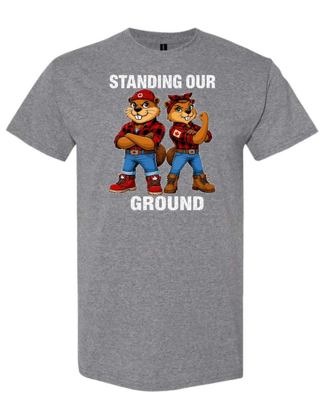 Standing Our Ground Full Front Men's Tee in Graphite Heather
