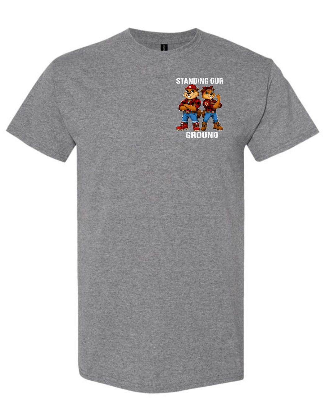 Standing Our Ground Left Chest and Back Men's Tee in Graphite Heather