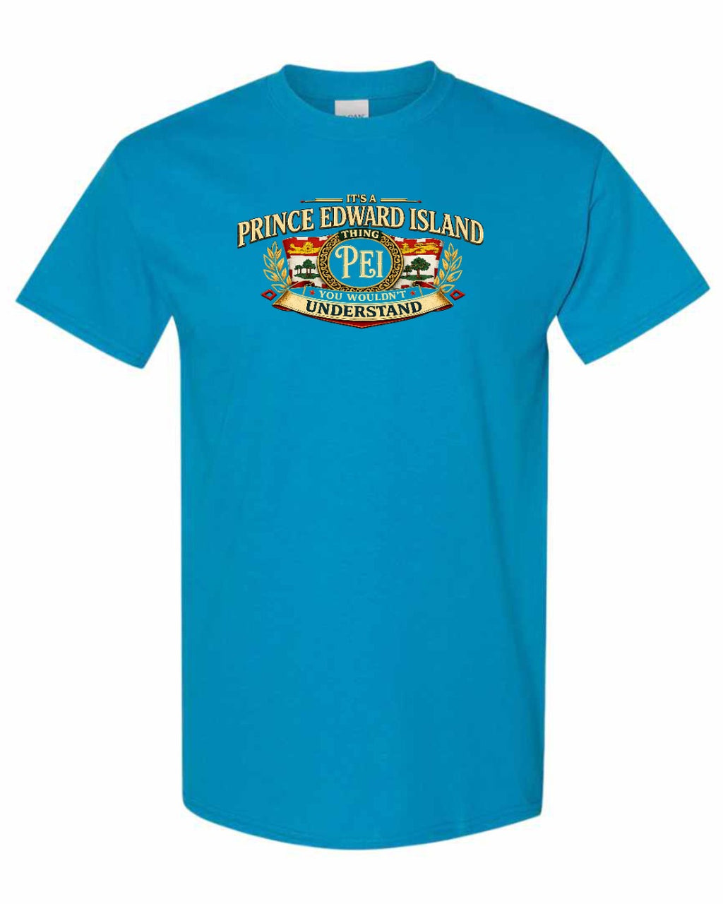 Pei Understand Men's Tee in Sapphire