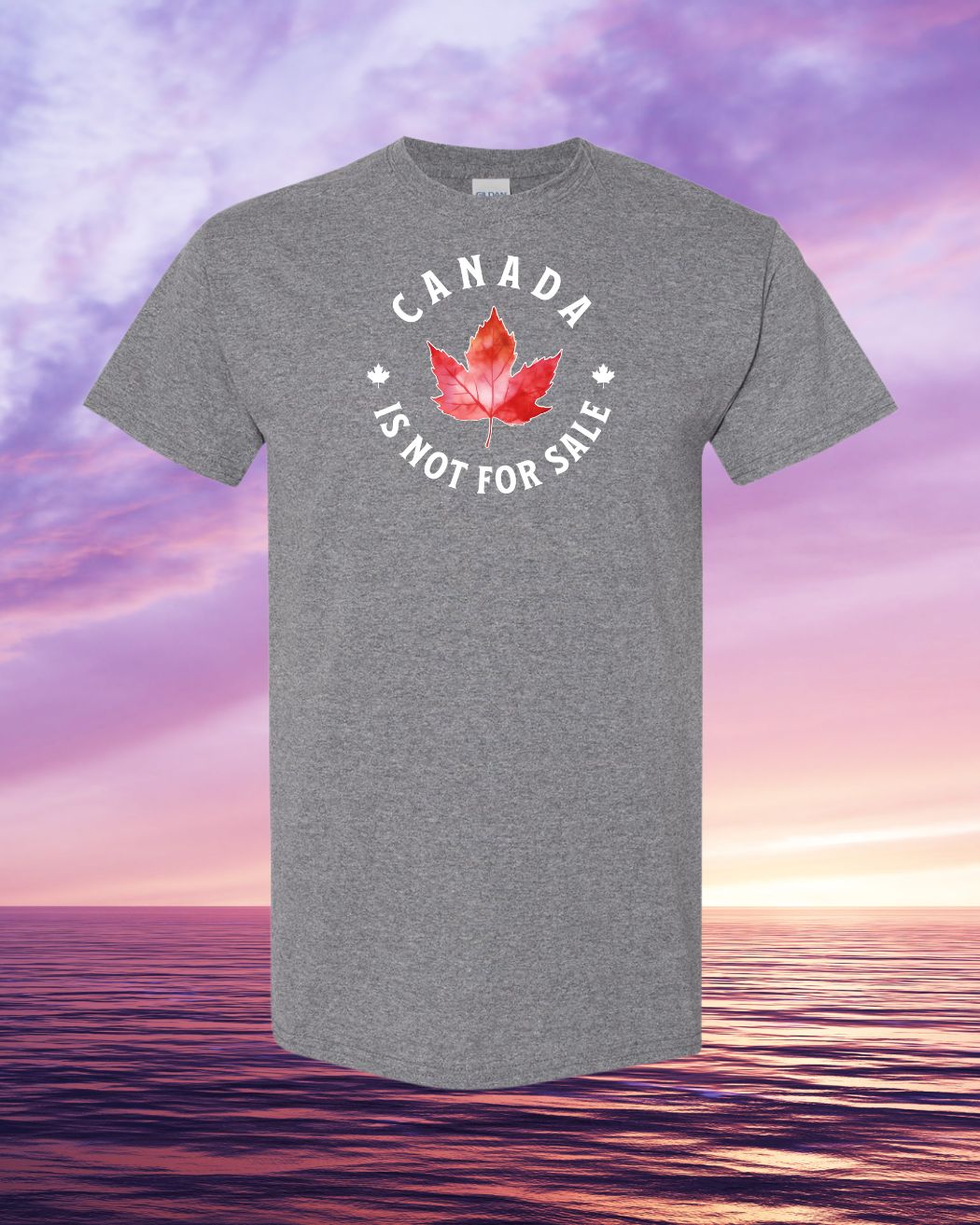 Canada is not for sale circle design Tee