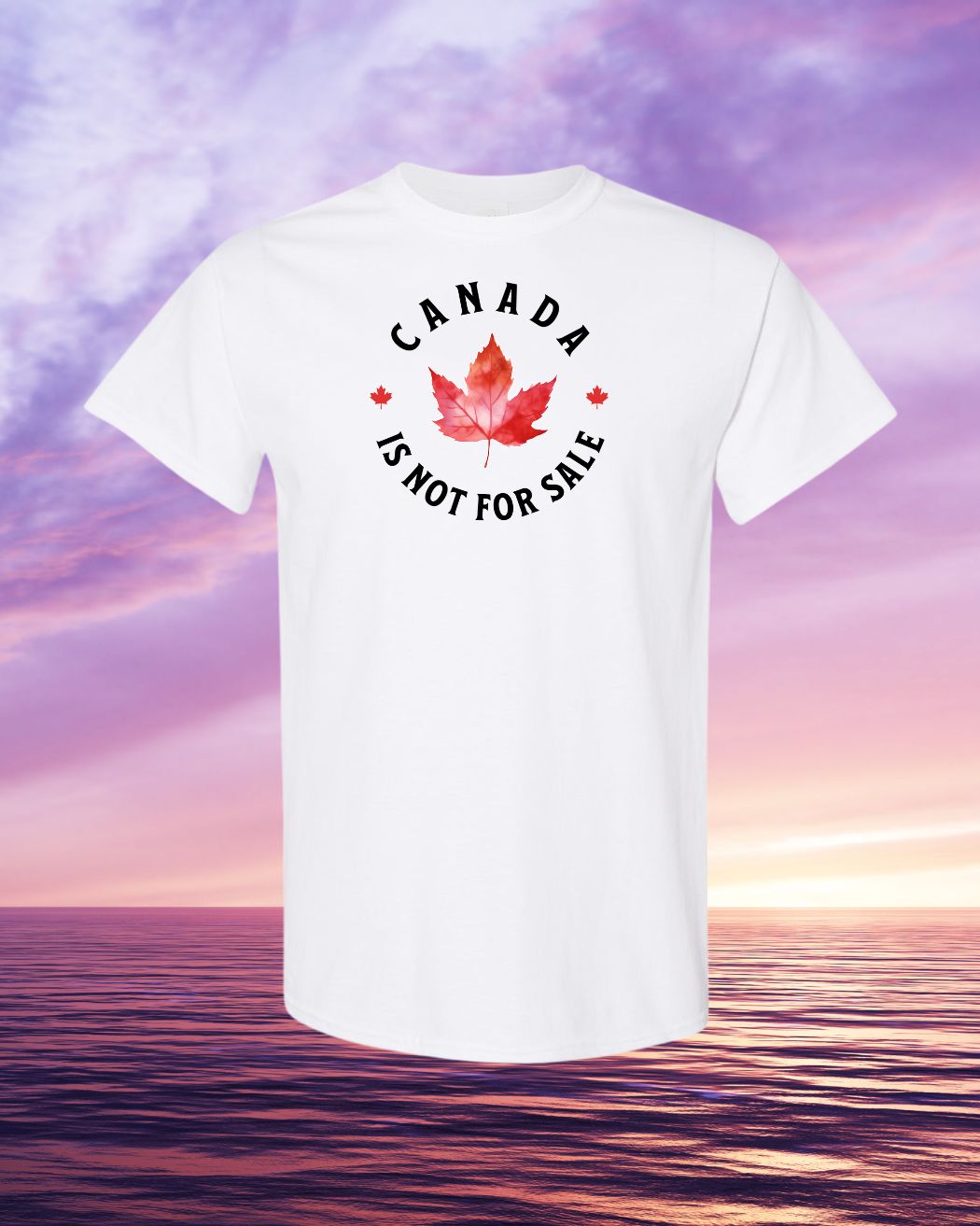 Canada is not for sale circle design Tee