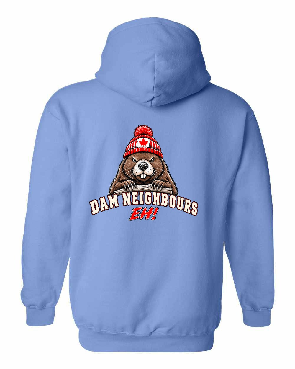 Dam Neighbours Left Chest and Back Pullover Hoodie in Carolina Blue - back