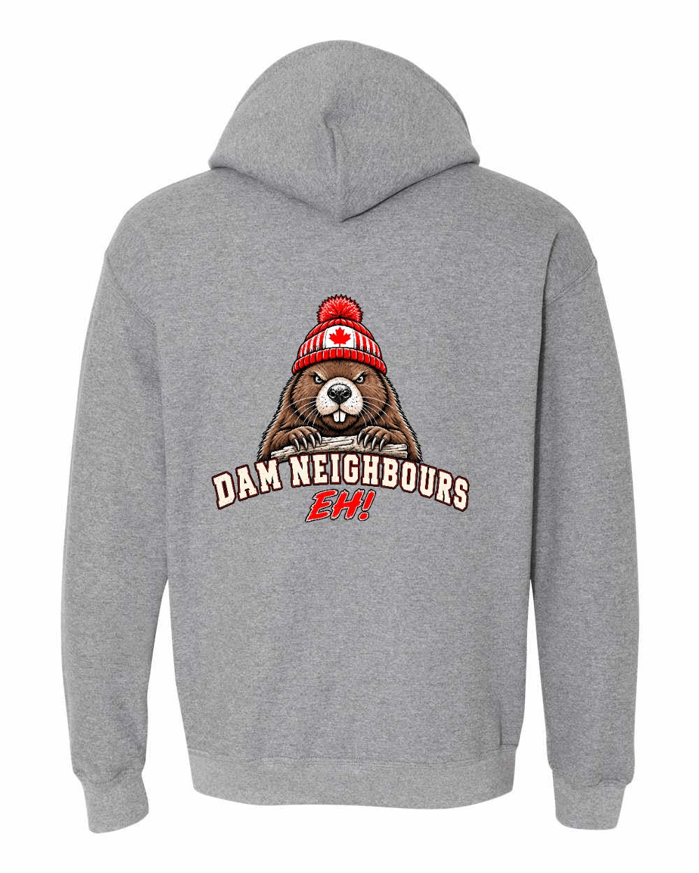 Dam Neighbours Left Chest and Back Pullover Hoodie in Graphite Heather - back