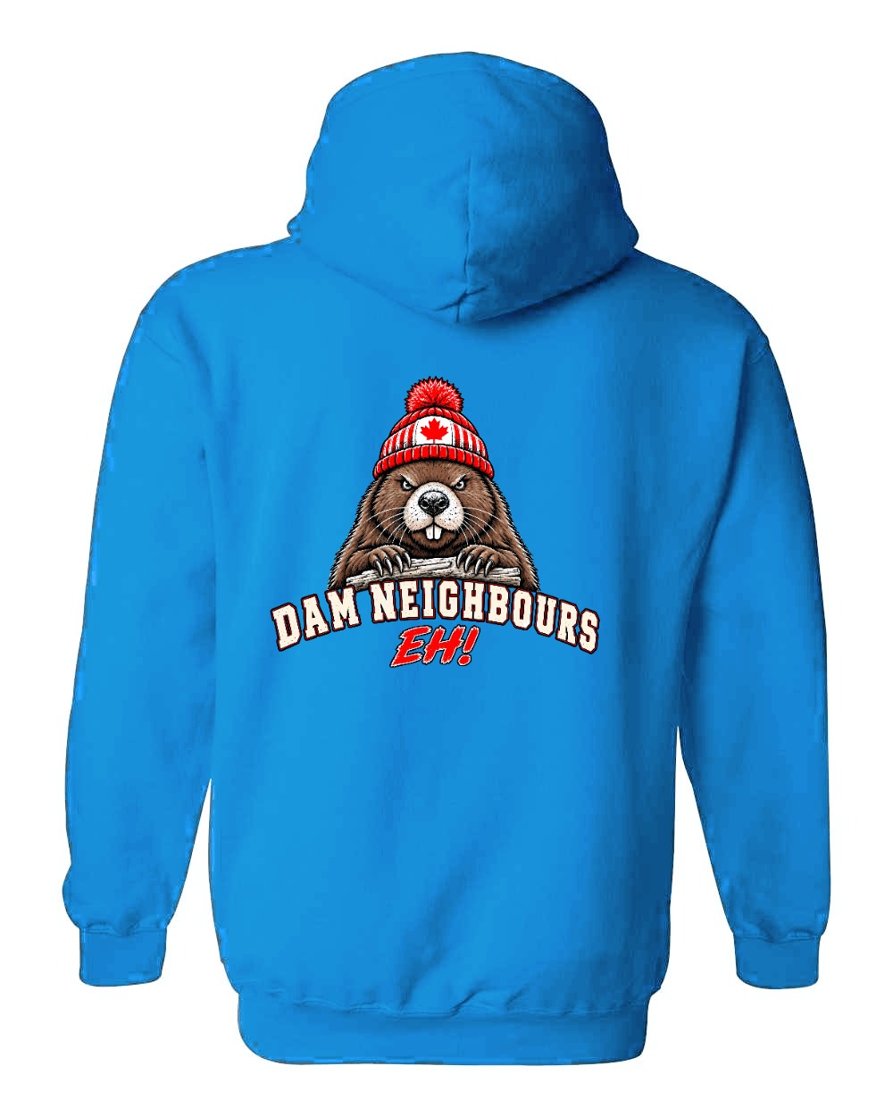 Dam Neighbours Left Chest and Back Pullover Hoodie in Sapphire - back