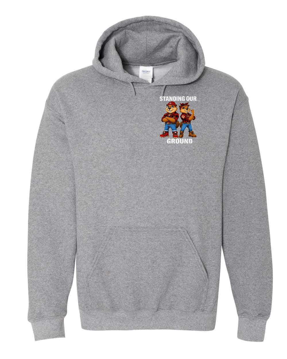Standing Our Ground Left Chest and Back Pullover Hoodie in Graphite Heather