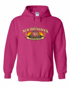 Nb Understand Full Front Pullover Hoodie in Heliconia Pink