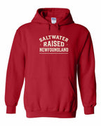 NFLD Saltwater Raised Sign Pullover Hoodie - Unisex