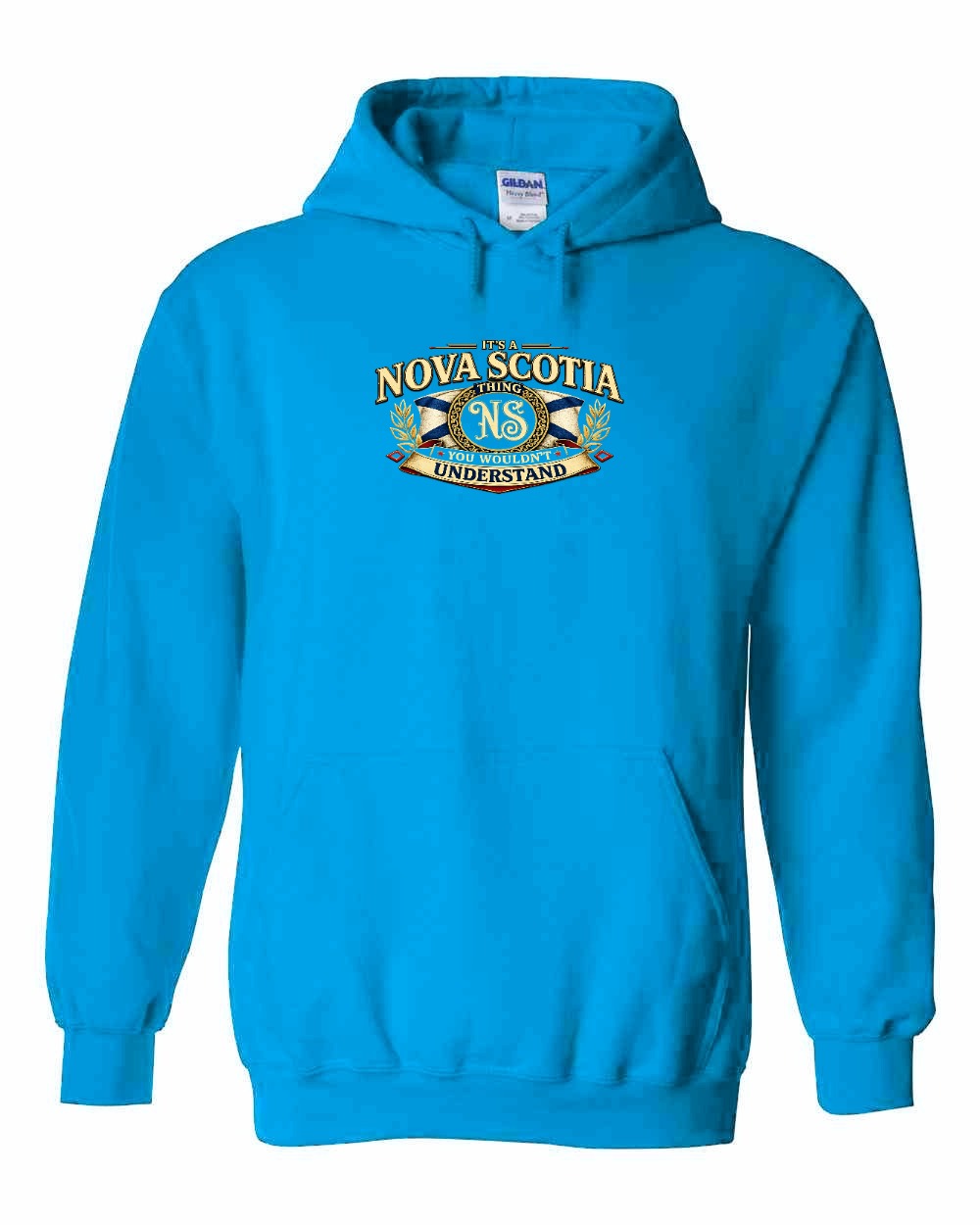 Ns Understand Pullover Hoodie in Sapphire